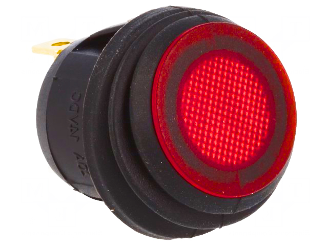 Изображения для R13-112B8-02-BBR