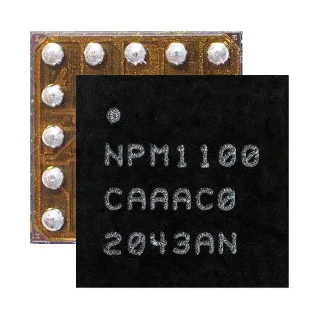Изображения для NPM1100-CAAA-E-R